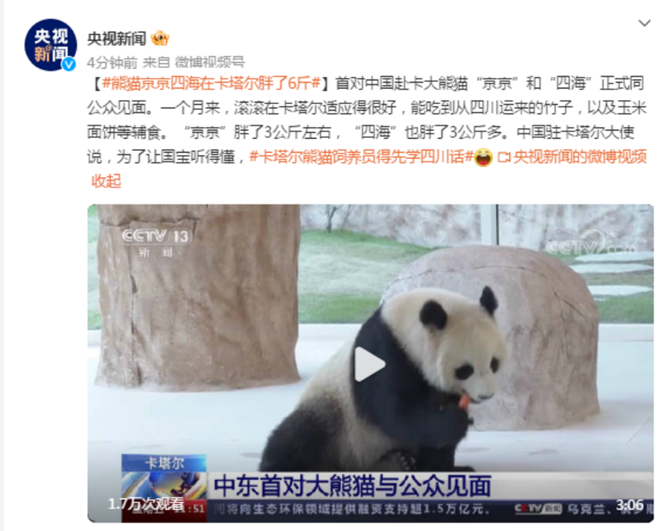 副本【大熊猫】跨越千山万水，送“四海”“京京”出门的娘家人原来是TA！211.png